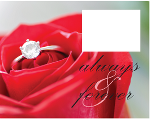 Engagement Rose Throw Blanket (50” x 60”)